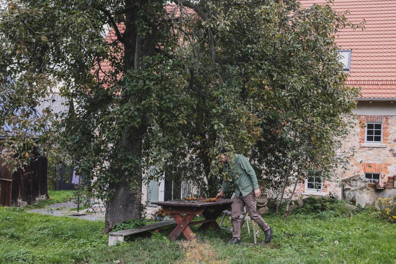 Dwie Brzozy Wegetarianskie Siedlisko Wlen Exterior photo
